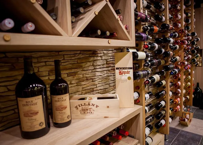 Mendan Magic & Wellness 4* זלקרוס